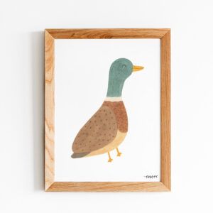 Lámina animalitos pato