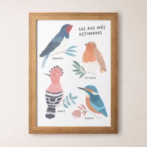 Lámina pájaros los más queridos