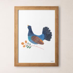 Lámina pájaros urogallo