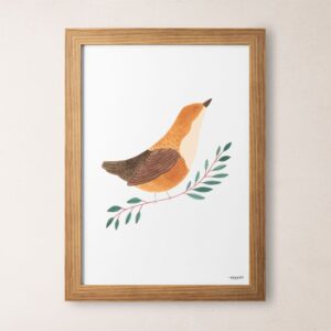 Lámina pájaros mirlo acuático